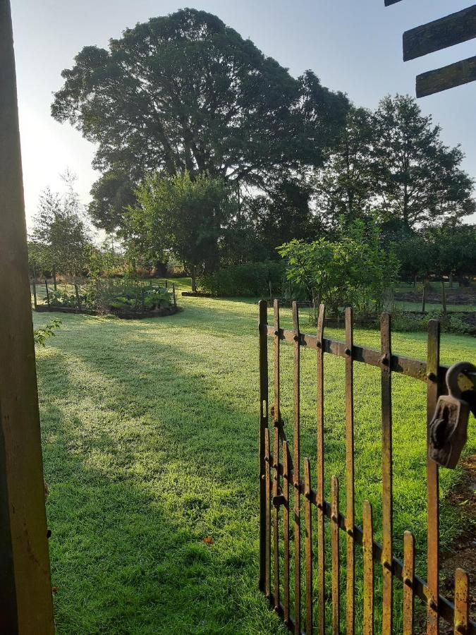 Lorum Old Rectory Bagenalstown エクステリア 写真