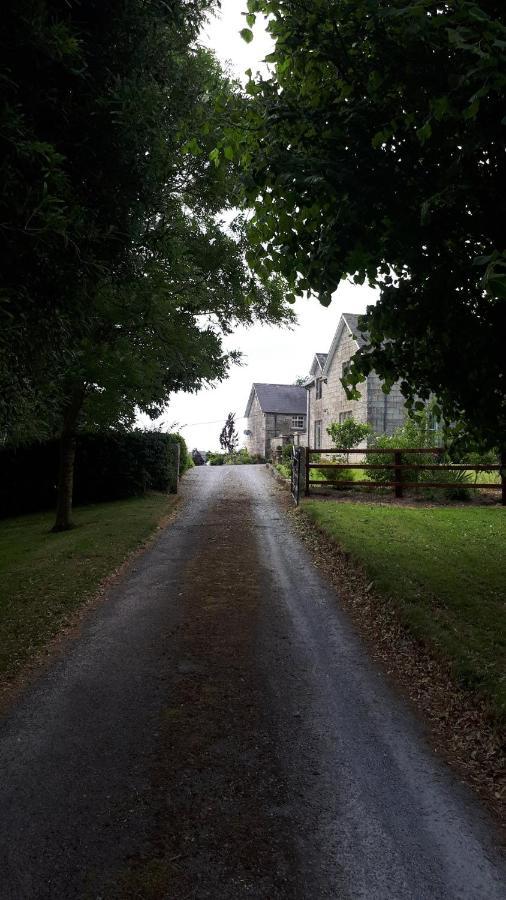 Lorum Old Rectory Bagenalstown エクステリア 写真