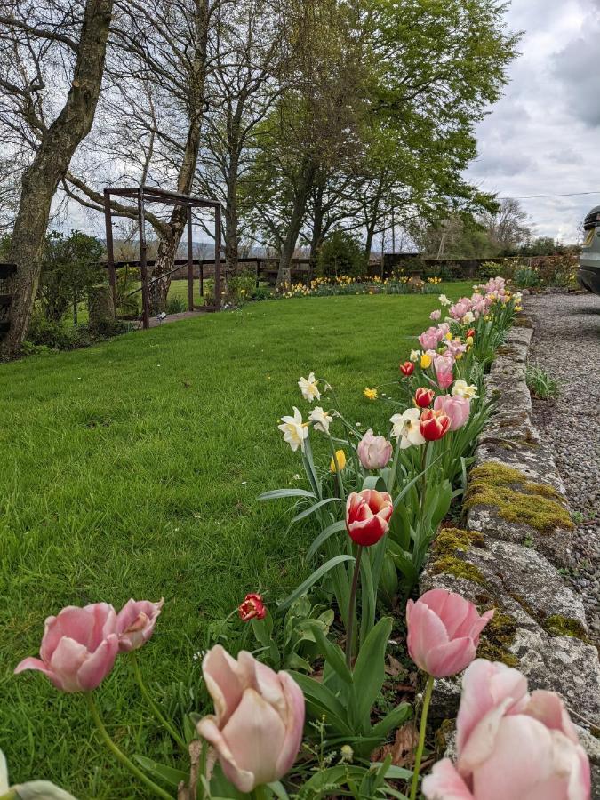 Lorum Old Rectory Bagenalstown エクステリア 写真