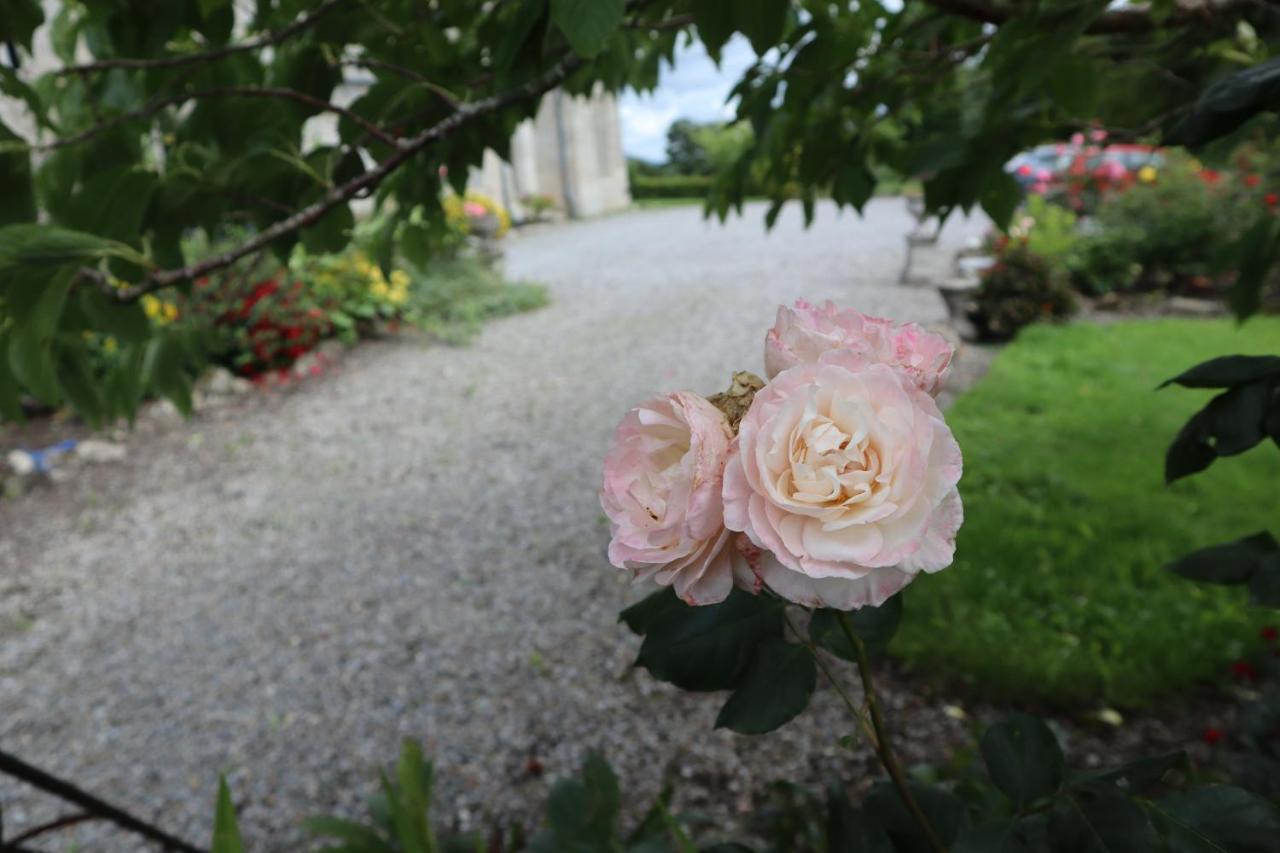 Lorum Old Rectory Bagenalstown エクステリア 写真